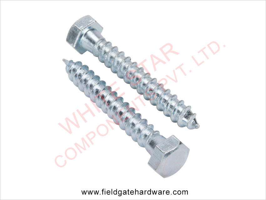 Hex Head Coach screws M6 M8 M10 M12 M16